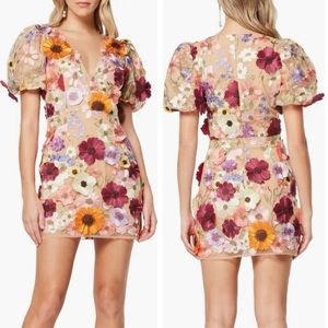 *ISO* Searching for this Elliatt Rosalind dress in a size medium